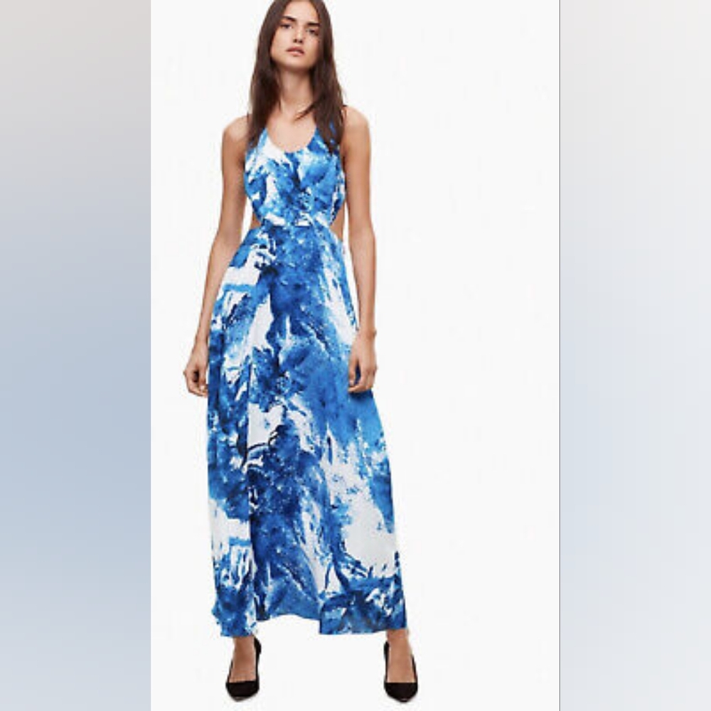 Aritzia Taluka Peekaboo Print Maxi Dress